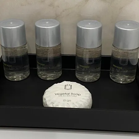 Art Atelier Risorgimento Konukevi